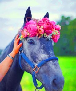 Horse With Flowers Crown paint by numbers