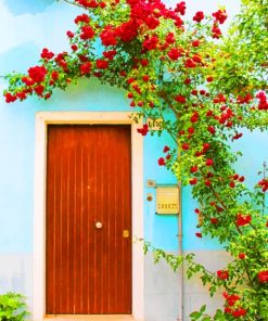 House Door Flowers paint by numbers