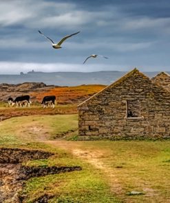 Ireland's Coast Ruins paint by numbers