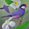 Java Sparrow paint by numbers