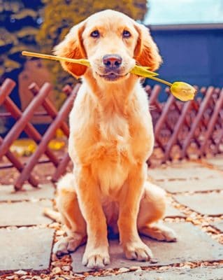 Labrador Dog Holding Flower paint by numbers