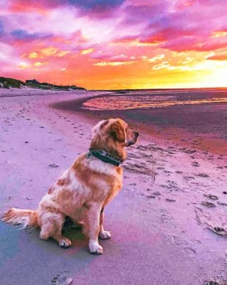 Labrador Dog Watching Sunset paint by numbers