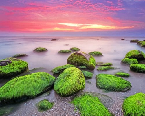 Bulgarian Coast Sunrise paint by numbers