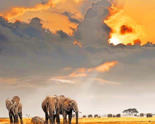 Elephants Herds In A Cloudy Day paint by numbers
