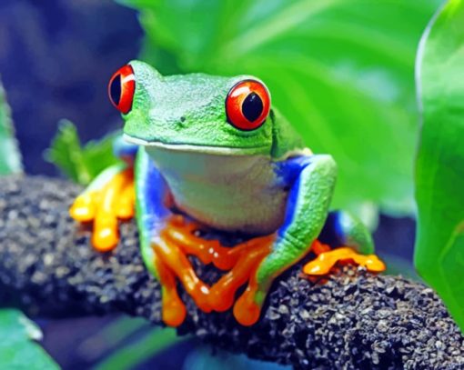 Red Eyed Frog paint by numbers