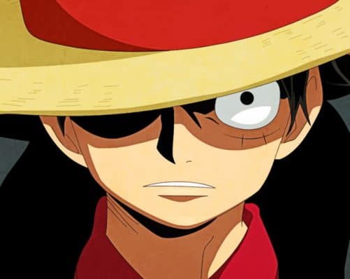 Luffy The Pirate paint by numbers