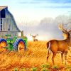 Male Deer In Farm paint by numbers