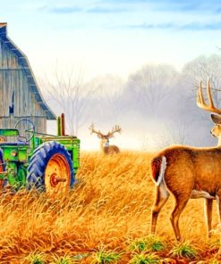 Male Deer In Farm paint by numbers