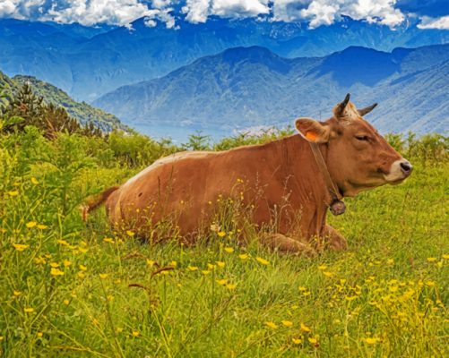 A Laying Cow And Mountains paint by numbers