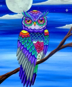 Owl Art paint by numbers