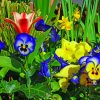 Colorful Pansies Flowers Paint by numbers