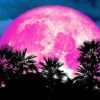 Pink Moonlight paint by numbers