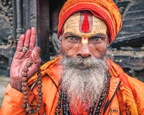 Old Indian Man Close Up paint by numbers