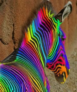 Rainbow Zebra paint by numbers