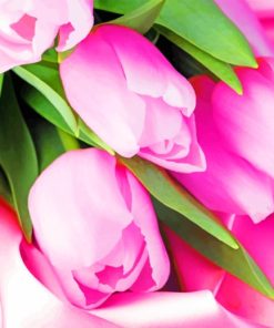 Pink Tulips painting by numbers