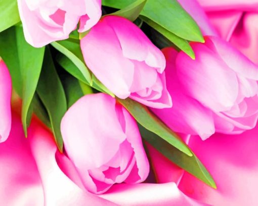 Pink Tulips painting by numbers