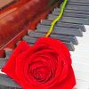 Rose On Piano paint by numbers