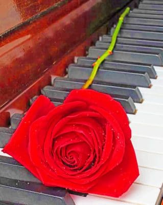 Rose On Piano paint by numbers