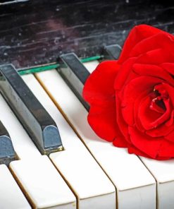 Piano And Red Rose paint by numbers