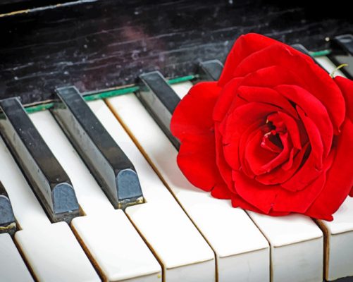 Piano And Red Rose paint by numbers