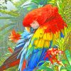 Scarlet Macaw paint by numbers