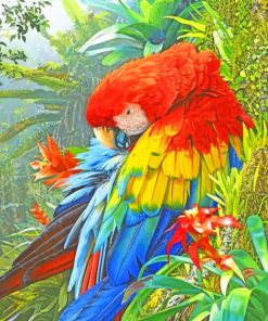 Scarlet Macaw paint by numbers