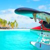 Seaplane At A Tropical Beach paint by numbers