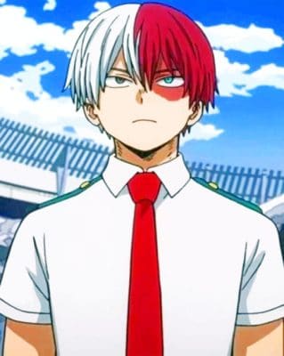 Shoto Todorki painting by numbers