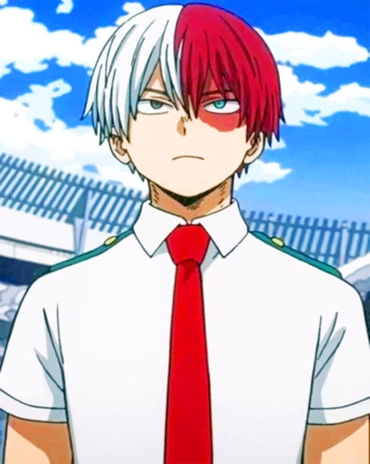 Shoto Todorki painting by numbers
