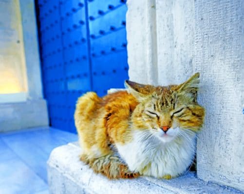 Sleepy Cat paint by numbers