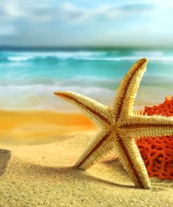 Starfish On The Beach painting by numbers