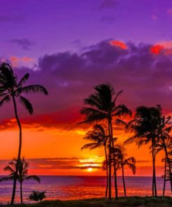 Sunset Hawaiian Beach paint by numbers