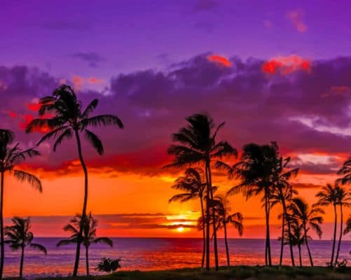 Sunset Hawaiian Beach paint by numbers