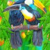 Toucan Birds paint by numbers