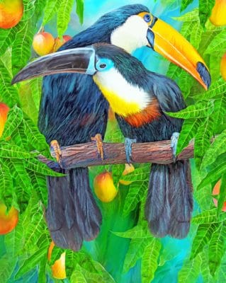 Toucan Birds paint by numbers