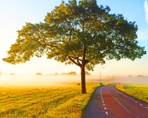 Tree In Empty Road paint by numbers