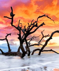 Tree In The Beach At Sunset paint by numbers