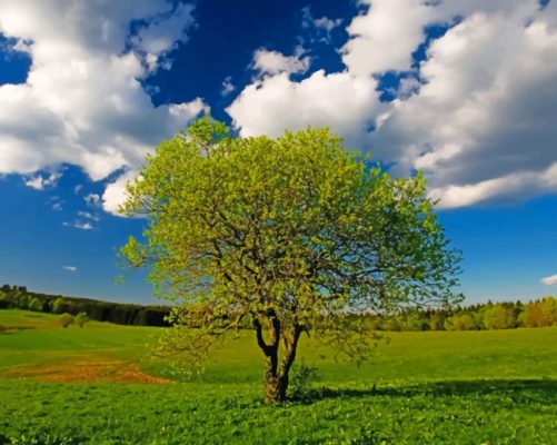 Tree In A Green Land paint by numbers