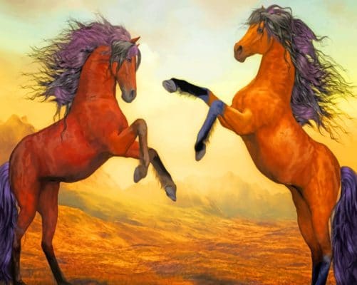 Two Horses Fighting painting by numbers