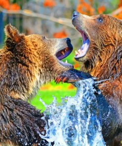 Two Bears Playing In Lake paint by numbers