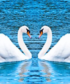 Two Swans painting by numbers