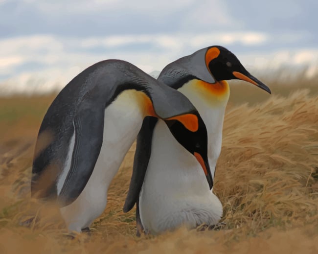 Penguin Emperors paint by numbers