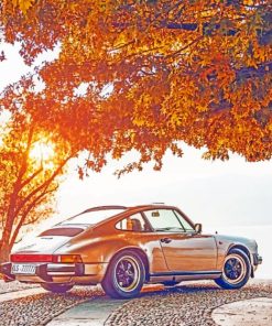 Vintage Porsche paint by numbers