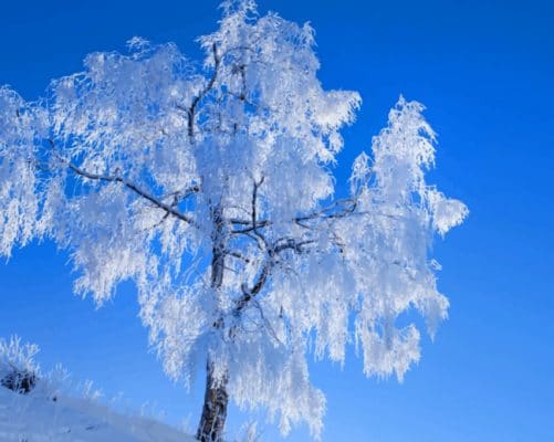 White Tree Under Blue Sky painting by numbers