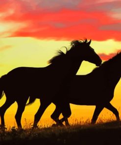 Wild Horses Running painting by numbers