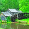 Wooden Houses In Forest paint by numbers