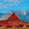 Wyoming American Bulls paint by numbers