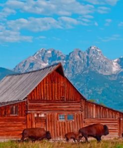 Wyoming American Bulls paint by numbers