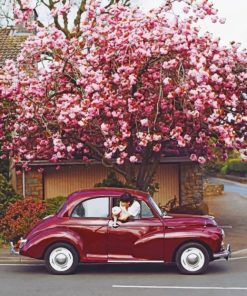 Vintage Car Under A Tree paint by numbers