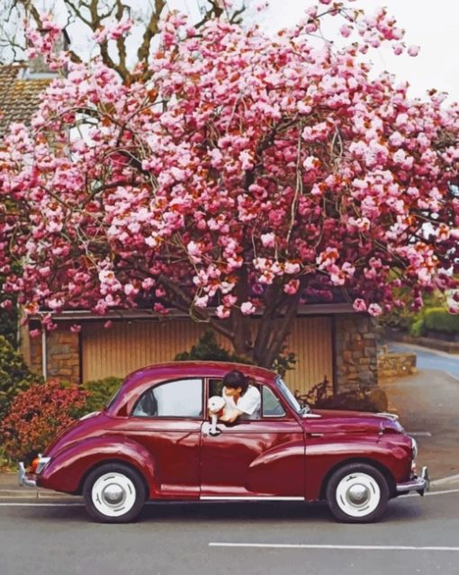 Vintage Car Under A Tree paint by numbers